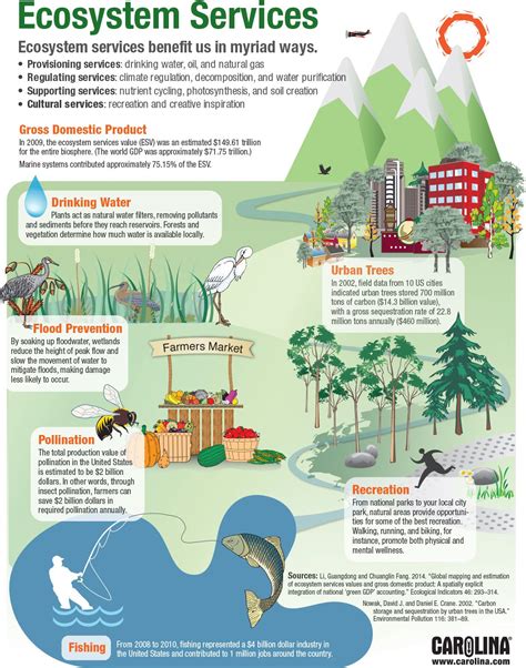 Infographic Ecosystem Services Carolina Biological Supply