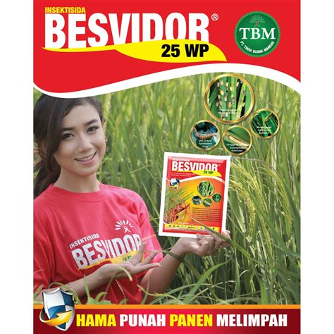 Jual Insektisida Racun Hama Wereng Dan Walang Sangit Besvidor Wp