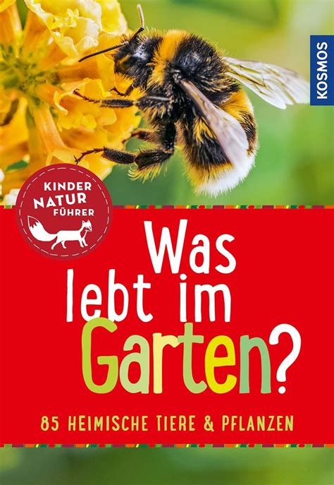 Was Lebt Im Garten Kindernaturf Hrer Von B Rbel Oftring Buch Thalia