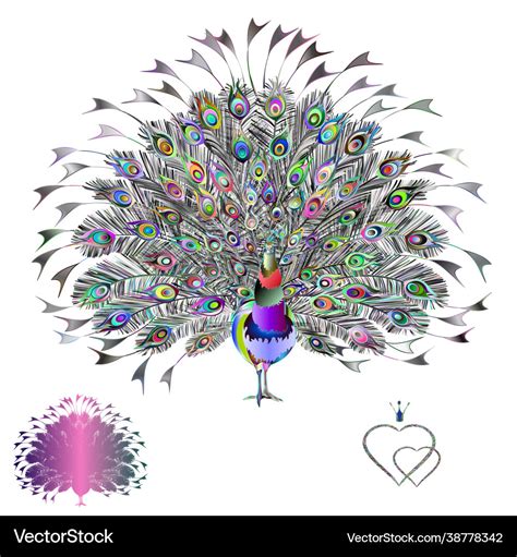 Peacock Multicolored Beauty Tropical Bird Vector Image