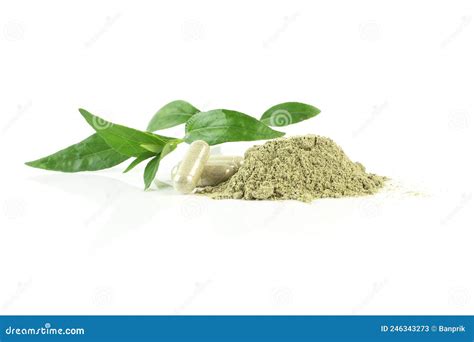 Andrographis Paniculata Green Chiretta Herbal Medicine In Capsule And