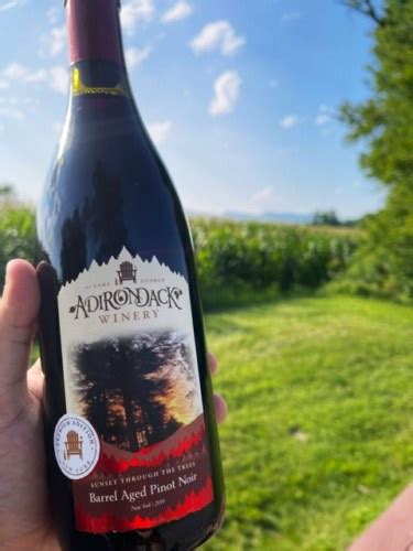 Adirondack Winery Barrel Aged Pinot Noir Vivino Us