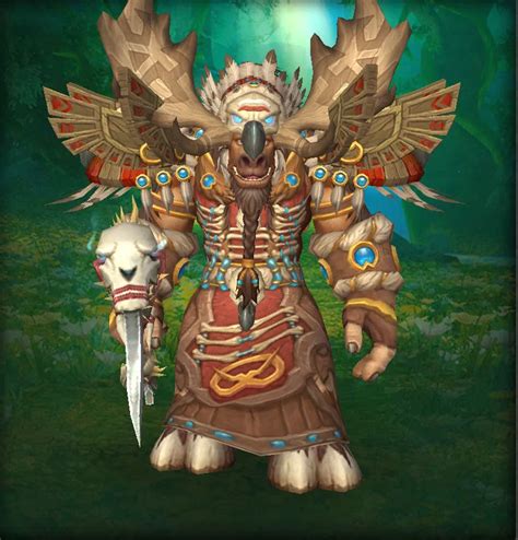 10 Best Druid Transmog Sets MMORPG GG