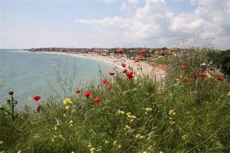 Rom Nii Au Cheltuit Pe Litoral Peste De Milioane De Lei N Mini