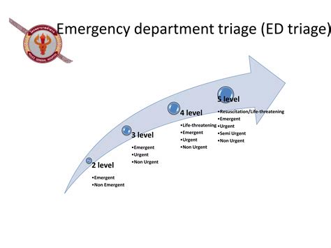 Emergency Department Triage Ppt