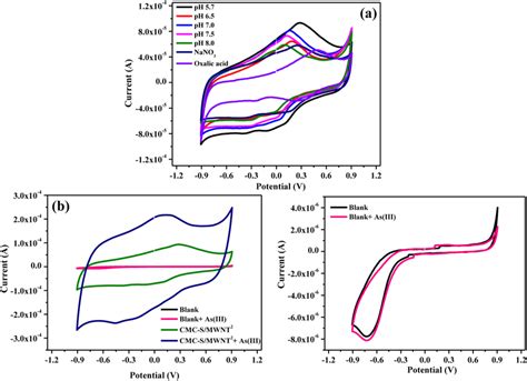 A Cv Response For Fifty Consecutive Cycles And B Dpv Response Of