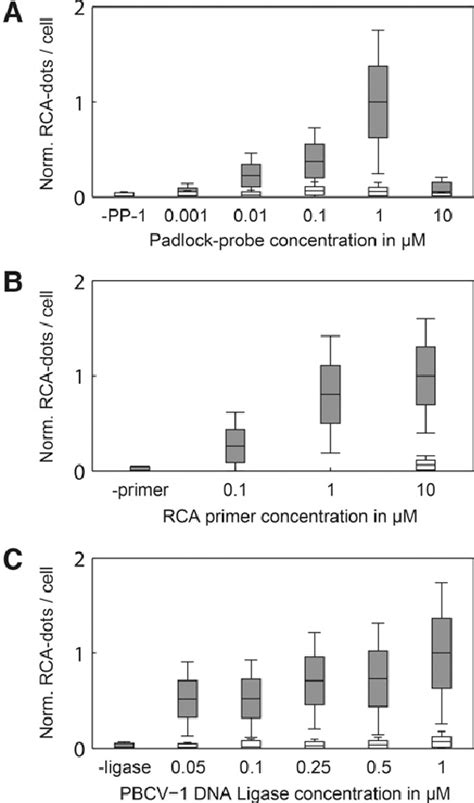 Parameter Optimization Of The Padlock Probe Assay For Detection Of In