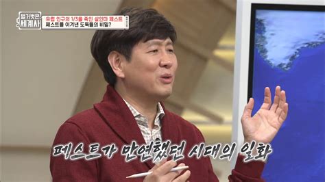 Y이슈 벌거벗은 세계사 장항석 교수 역사 왜곡 주장 황당일방적인 매도종합 네이트 연예