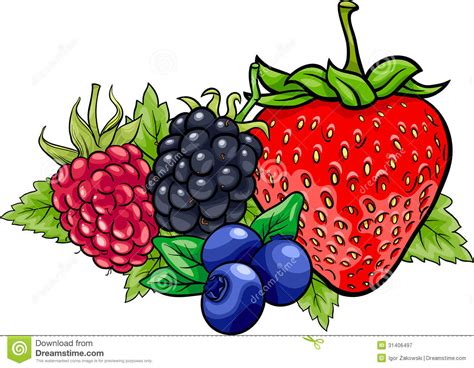 Berries Drawing Ausmalbild Blaubeere Digimonbtcs