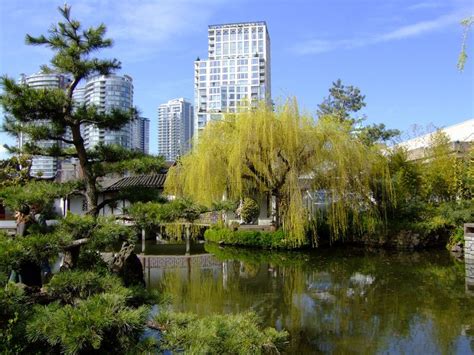 A Pond Surrounded By Tall Buildings And Trees