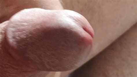 Masturbation Im Lockdown Ttzz Gay Porn Xhamster Xhamster