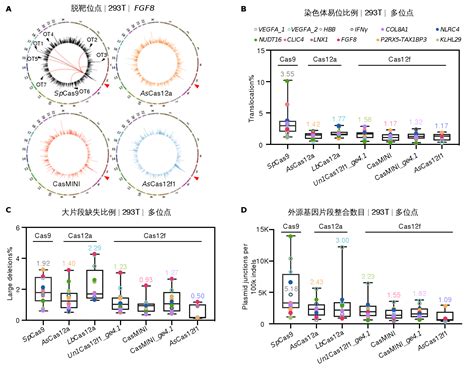 生命科学学院胡家志课题组应用pem Seq技术全面解析cas12家族基因编辑工具酶的特性 北京大学通知公告 Free考研考试