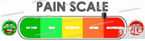 Diagram showing pain scale level with different colors illustration ...