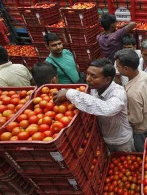 4 Reasons Why Tomato Prices Are High In India This Season