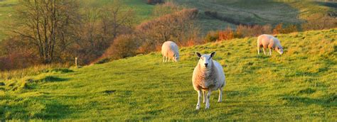 Lincolnshire Wolds Visitor Guide - Visit Lincolnshire