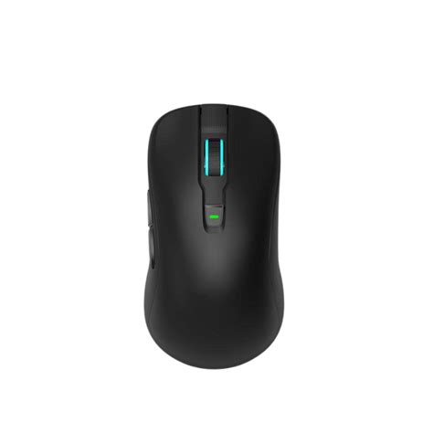 Wireless gaming mouse – Ergoage – Your Trustworthy Ergonomic Brand!