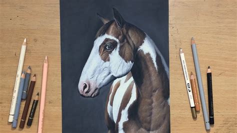 Realistic Horse Drawings In Color