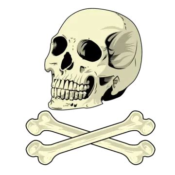 Skull And Bones, Skull, Halloween, Bones PNG Transparent Clipart Image and PSD File for Free ...