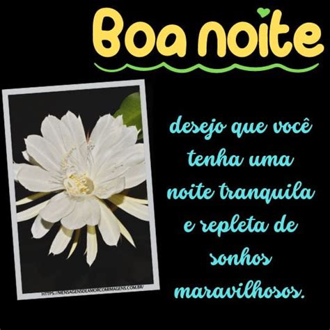 Mensagem De Boa Noite Flores Lindas Imagens