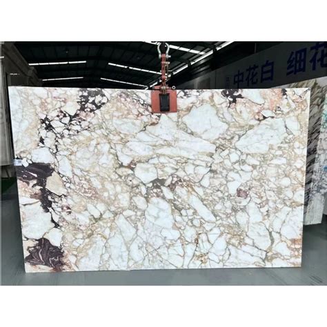 Shihui High Quality Luxury Natural Stone Calacutta Vagli Varant Marble