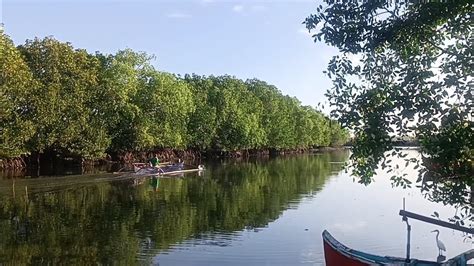 Ep Sunday Adventure Panananggal Ng Alimasag Sa Lambat Catch And