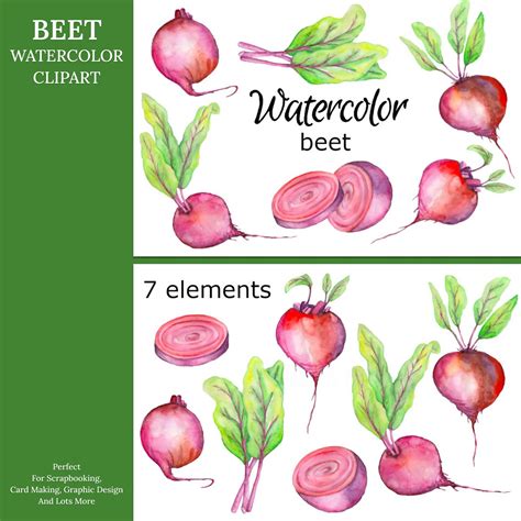 Magic School Watercolor Clipart MasterBundles