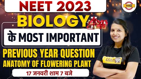 Neet 2023 Anatomy Of Flowering Plant Neet Biology Pyq Questions Neet Biology By Radhika