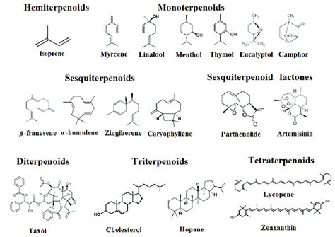 Examples Of Different Classes Of Terpenoids Download Scientific Diagram