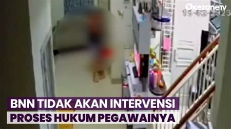 Pegawainya Jadi Tersangka KDRT BNN Pastikan Tidak Akan Intervensi