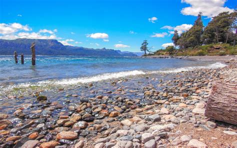 Bosque Sumergido Conoce Este Misterioso Lugar De La Patagonia