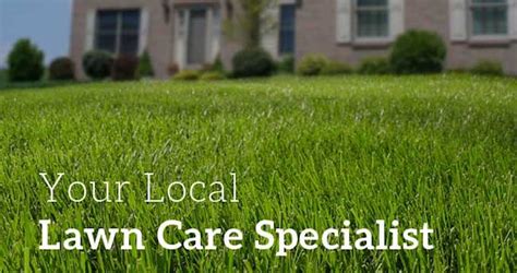 Weiss Lawn Care Weed Control Top Rated Lawn Treatment Services