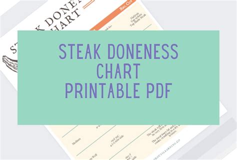 Steak Doneness Chart Printable PDF - Etsy