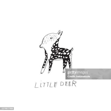 128 Baby Deer Drawing High Res Illustrations - Getty Images