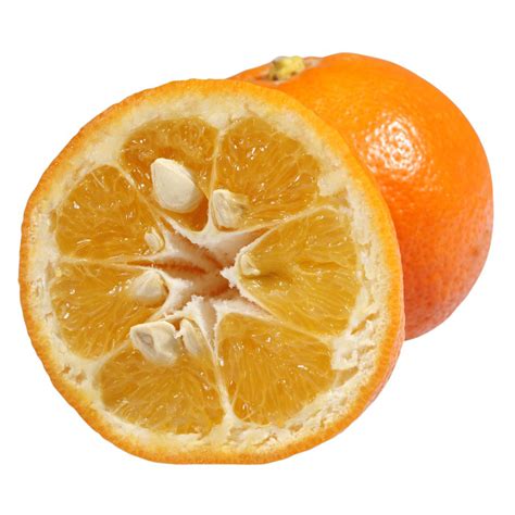 Bitter orange Facts, Health Benefits and Nutritional Value