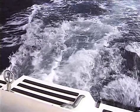 Travel Pleasures Germany Jacqueline Wild Suzy Cat Blonde Cat