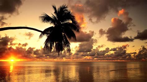 Tropical Sunset Wallpapers - Wallpaper Cave