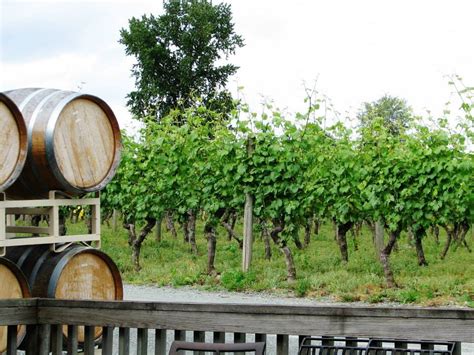 Tour: Fraser Valley Wineries - West Coast Food