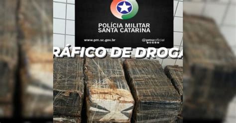 Policiais Apreendem Quilos De Maconha Em Munic Pio Do Sul De Sc