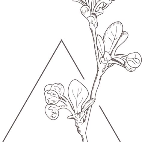 VVforms | Saint Petersburg