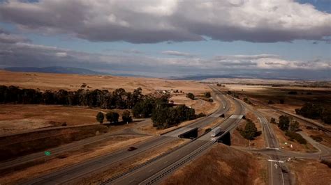 Wildlife Crossings Save The Yellowstone Grizzly