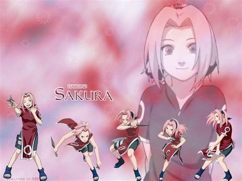 Sakura Haruno Hd Wallpapers Wallpaper Cave