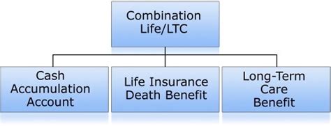 Life Insurance Riders That Help Pay For Long Term Care Bridge And Branch