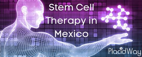 A Guide To Stem Cell Therapy In Mexico