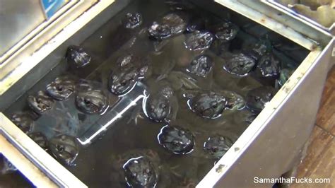 Behind The Scenes With Blonde Superstar Samantha Saint Babe Babe Porn XHamster