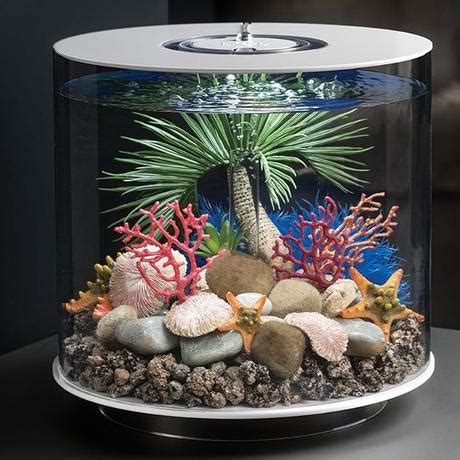 Biorb Starfish Set Yellow Sevenports Nano Aquariums