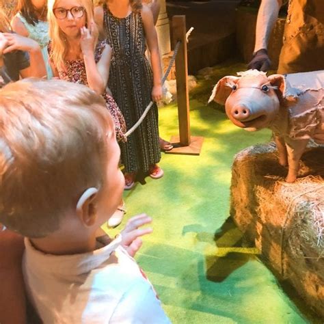Babe The Sheep Pig A Review Blissful Domestication