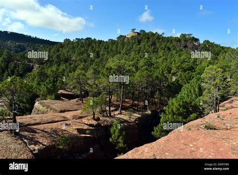 Paisaje Protegido De Los Bosques De Pino De Rodeno Formado Por Pinastro