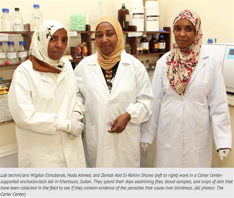 Under the Microscope: Sudan’s High-Tech Onchocerciasis Lab – Mectizan ...