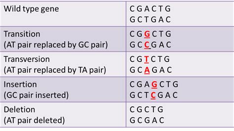 Mechanisms of Mutation