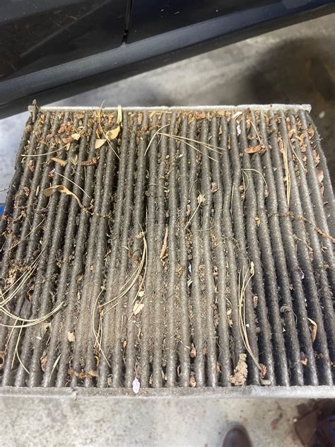 Customer Declined Cabin Air Filter 🤢 Rjustrolledintotheshop